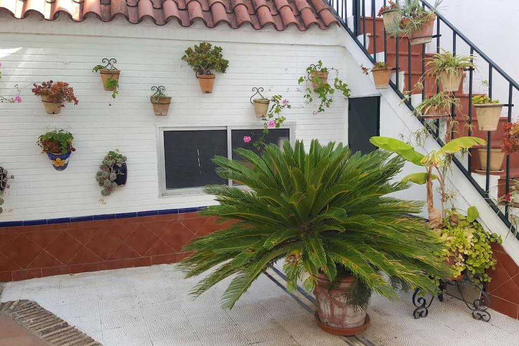 Sevilla A Tus Pies Mairena del Aljarafe Exterior foto