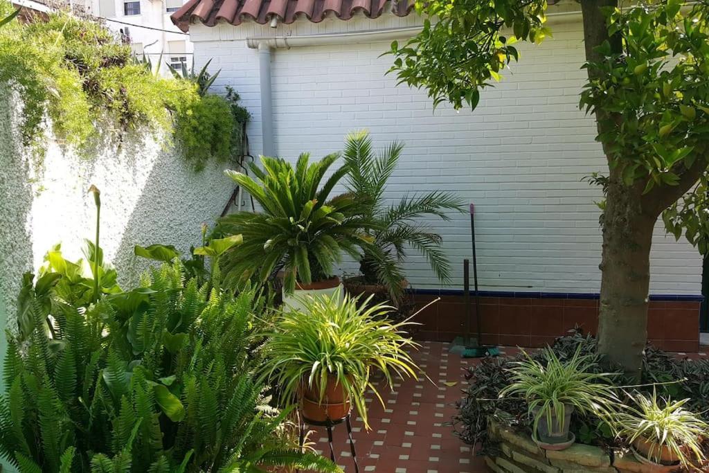 Sevilla A Tus Pies Mairena del Aljarafe Exterior foto