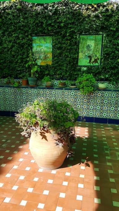 Sevilla A Tus Pies Mairena del Aljarafe Exterior foto